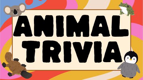 Animal Trivia