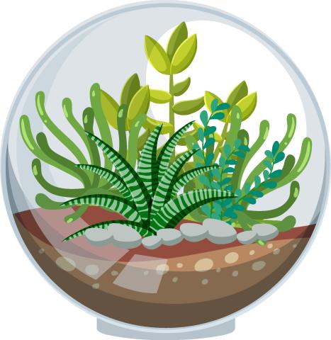 graphic of a terrarium