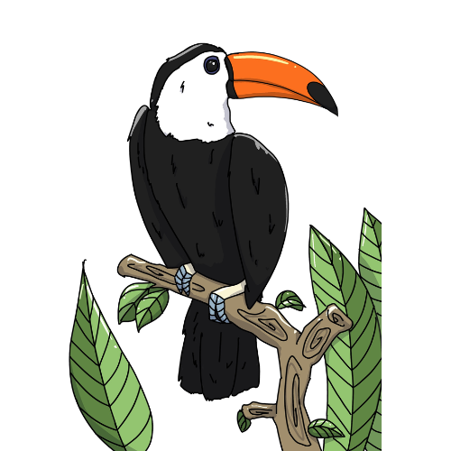 drawing of a toucan