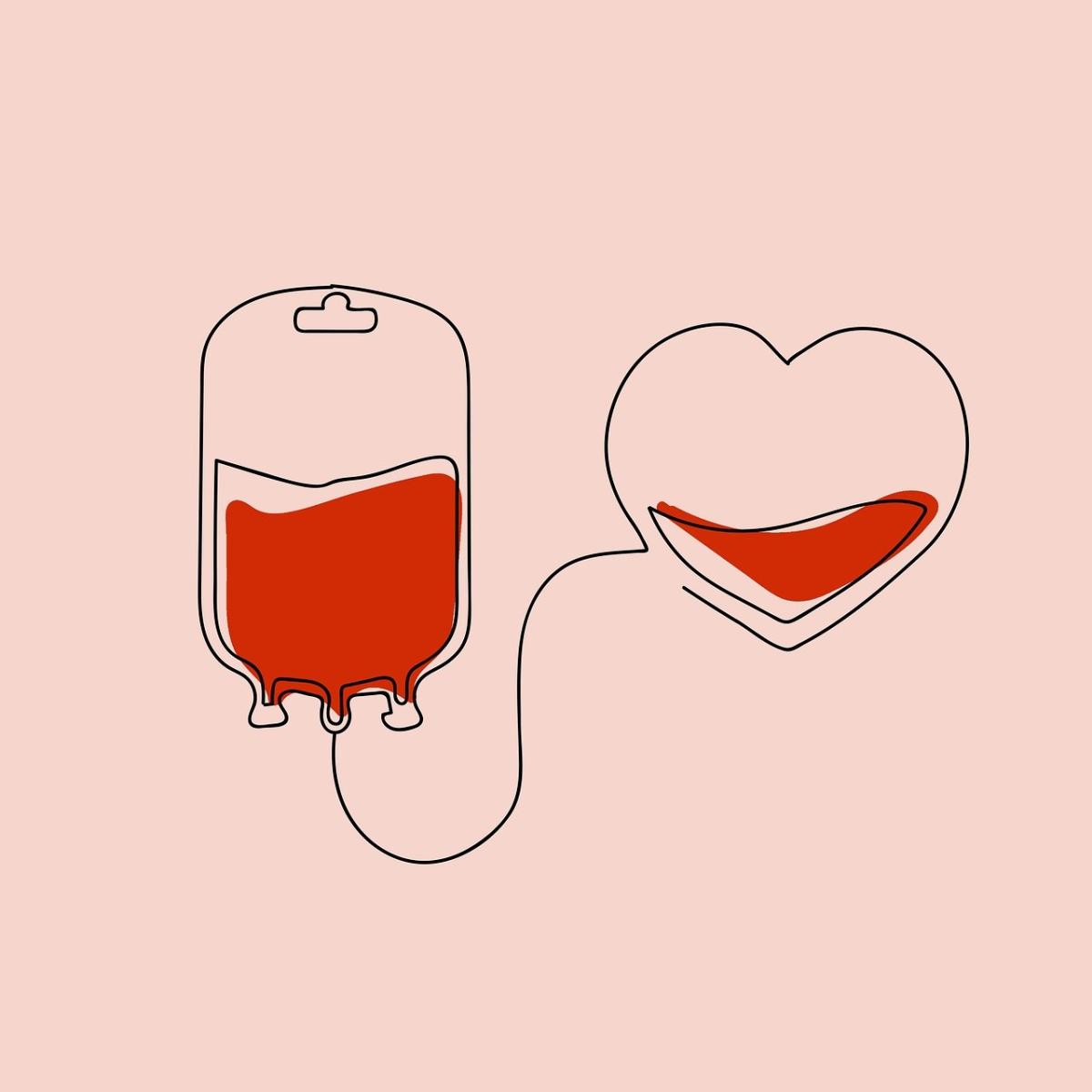 A bag of donated blood connected to a heart.