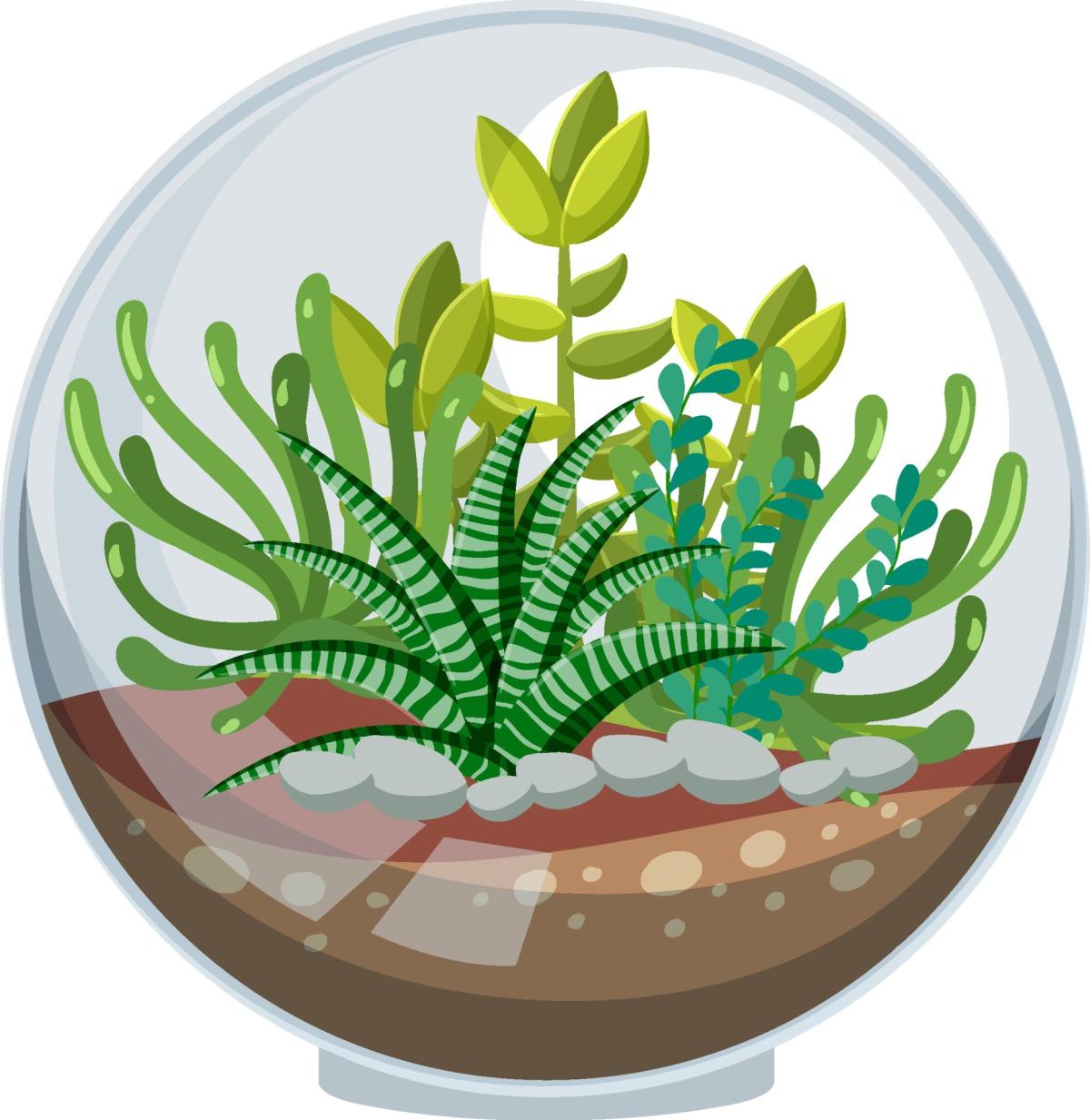 graphic of a terrarium